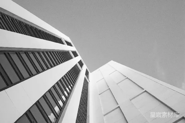 高清摄影 一张黑白照片，展示两座高大的建筑物。