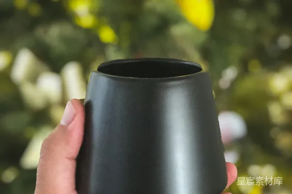 一只手拿着一个黑色的杯子，在一棵树前面。