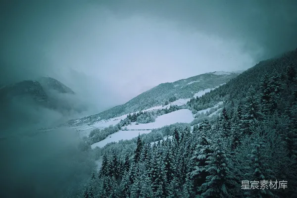 覆盖着白雪的山被树木环绕着