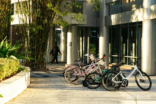 现代建筑入口外停放的自行车