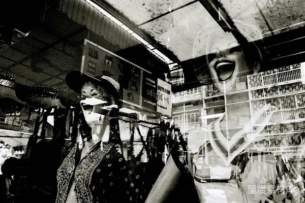 高清摄影 女士的黑白相间的上衣