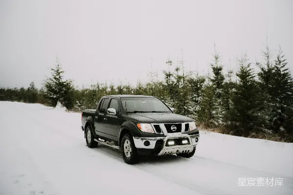 黑色福特SUV在雪地覆盖的地面白天行驶
