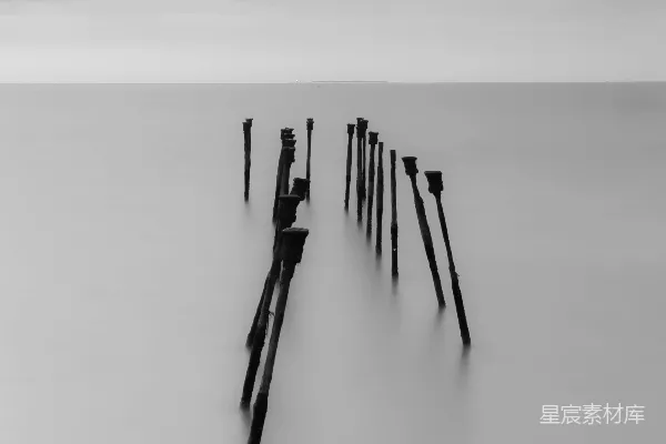 高清摄影 一张特写照片，上面有一些文字。
