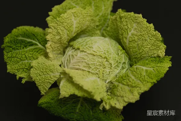 黑表面一头的大白菜