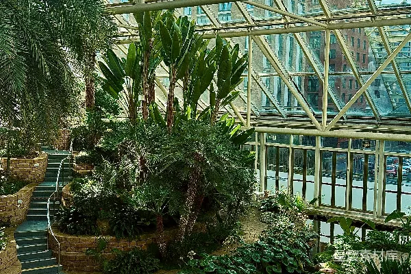一个环绕着绿植的大型室内游泳池