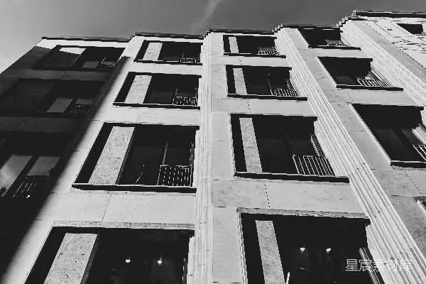 高清摄影 一张黑白照片，展示了一座高大的建筑物。