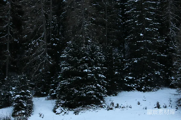 一个滑雪者在覆盖着白雪的山坡下滑行