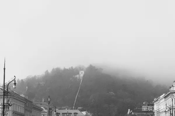高清摄影 山坡上有建筑和树木。