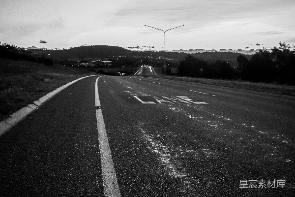 高清摄影 黑白照片中的道路两旁是树木。