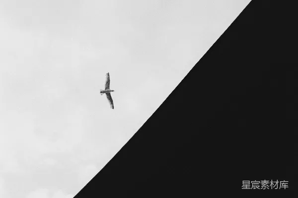 高清摄影 一张黑白照片，显示一架飞机在空中飞行。