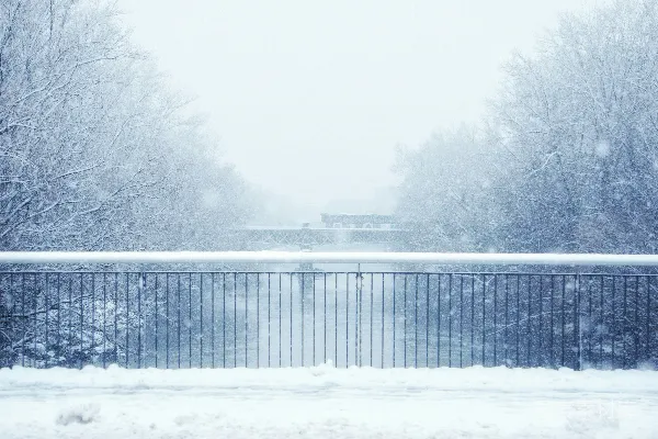 冬日里覆盖着白雪的桥旁边有树木。