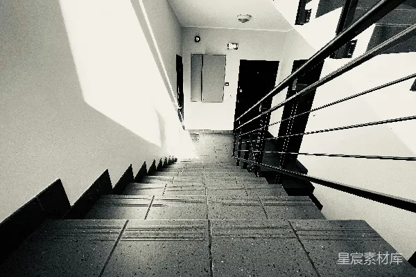 高清摄影 一张黑白照片，展示了一段楼梯。