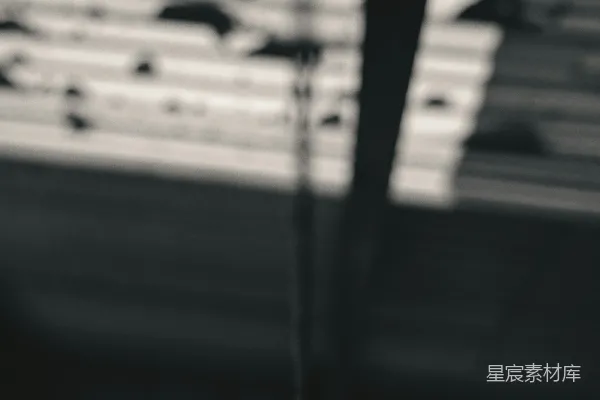 高清摄影 白黑音符