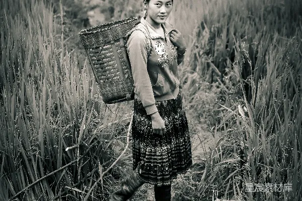 高清摄影 一个年轻的女孩在田野里提着篮子。