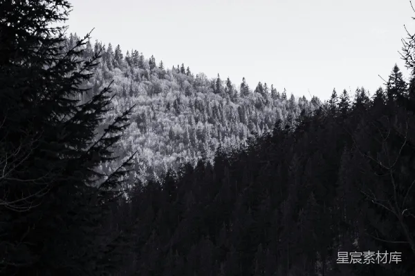 高清摄影 一张黑白相间的雪山照片