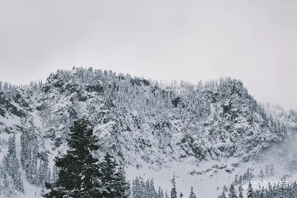 覆盖着白雪的山峦，树丛夹杂其侧