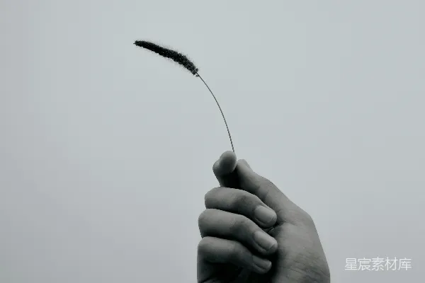 手持黑色细光棍的人
