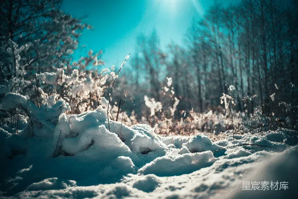 白天覆盖着雪的田野