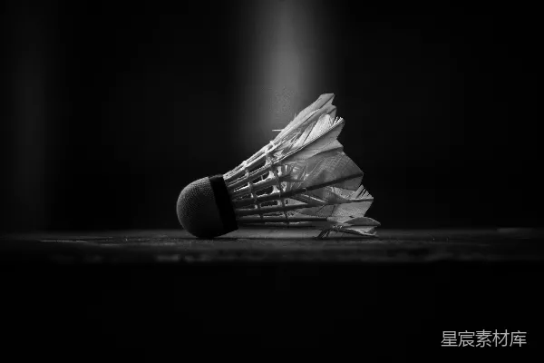 高清摄影 一张桌子上的白羽毛