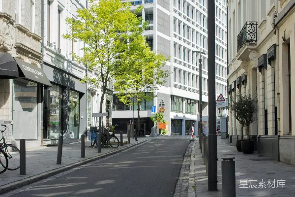 一条有建筑和树木的街道