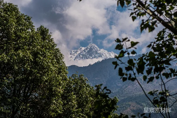 透过树丛看去，一片雪冠山峰的景象