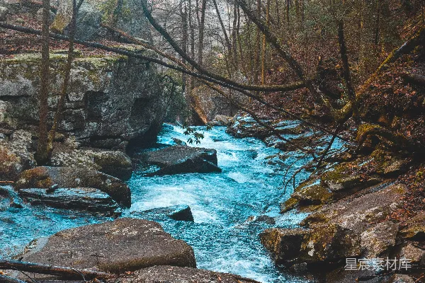 河边岩石旁的树木nature摄影中的河流