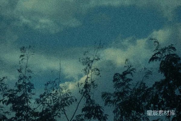 暗树衬托着一片阴云蓝天