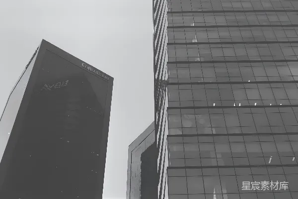 高清摄影 一张黑白照片，描绘了一栋高大的建筑。