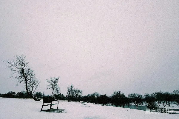 覆盖着白雪的公园里，树木光秃，有一个长椅。