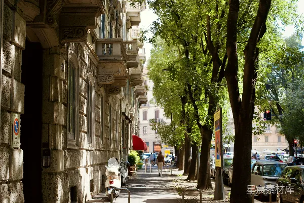 街旁有一栋旧建筑的两旁种着树木的小径。