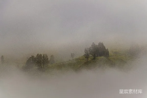 一幅有树的山坡在雾中的景象
