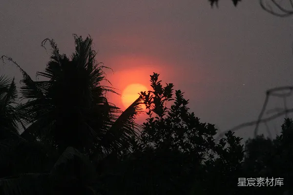 夕阳落在了一些树后。