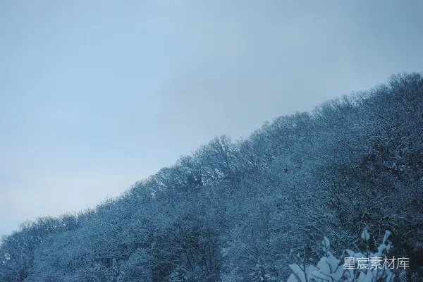 山坡上雪覆盖的树木在一片阴云之下