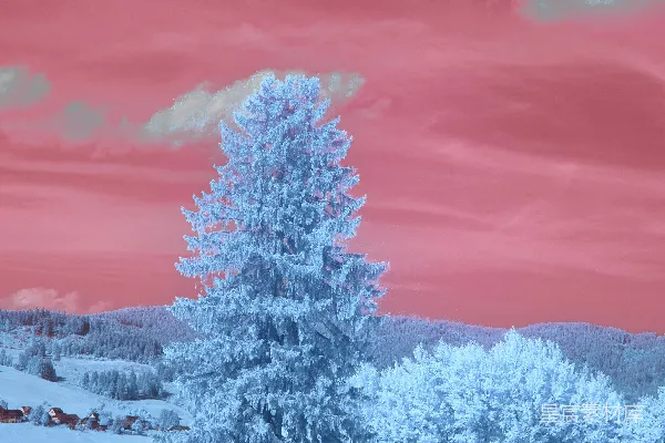 红外风景画，画面中有穿过田野的小径。