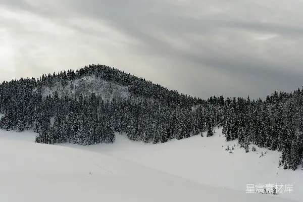 高清摄影 被积雪覆盖的山峰和树木在多云的天空下