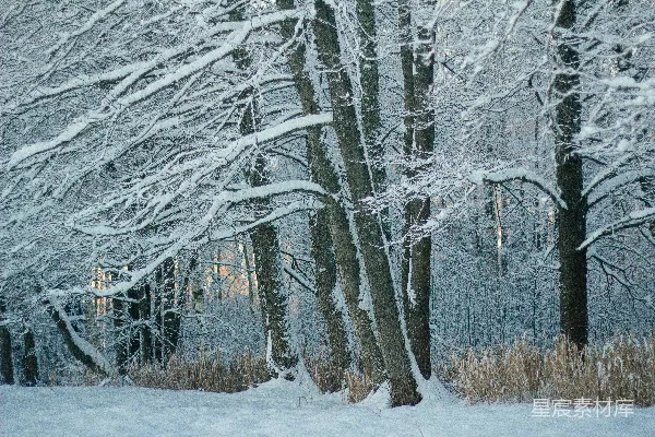 滑雪板爱好者正在一条积雪的山路上下滑