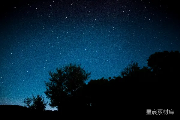 夜幕下的绿树蓝天