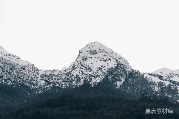 高清摄影 一座覆盖着积雪的山脉，前景中有树木。