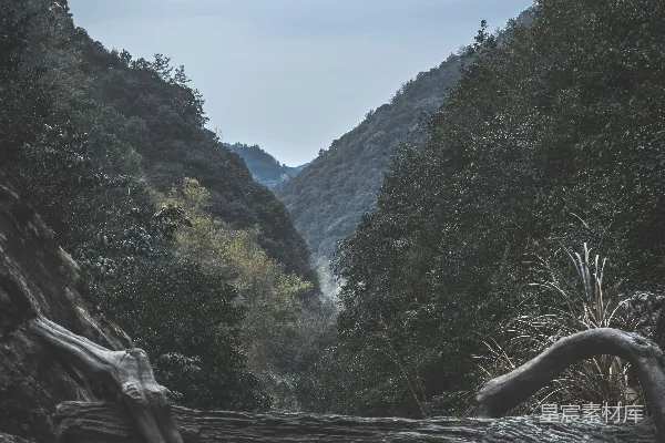 高清摄影 棕色的树桩位于绿草地上，旁边是青山，在白天。