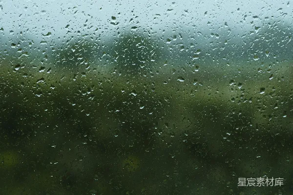 窗外绿地上滴落着雨滴。