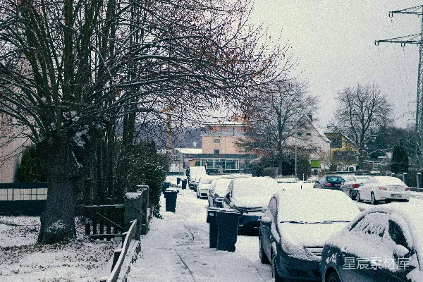 雪地里停着几辆车，树上光秃秃的。