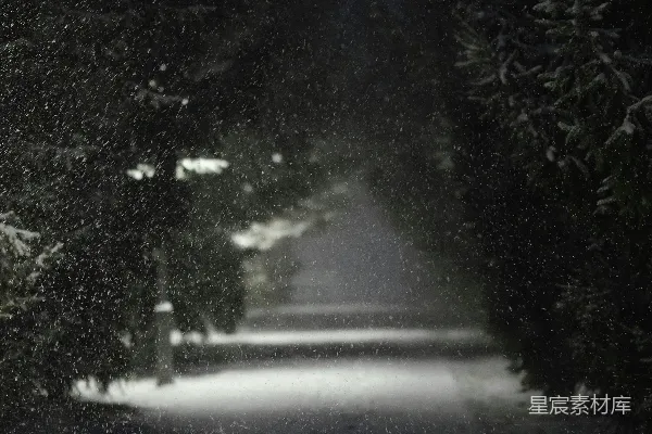 夜晚，雪花覆盖在一条树荫小径上。