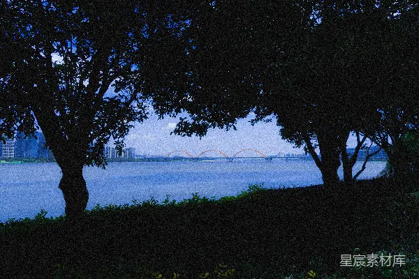 树 framing 河流 和 远处 的 桥 。