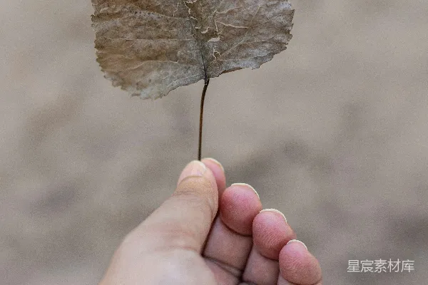 手上有棕色的斑点
