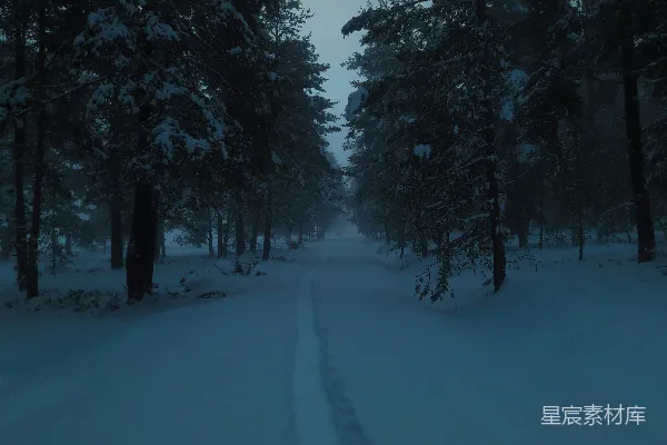 白天一个人走在覆盖着积雪的小径上，小径位于树木之间。