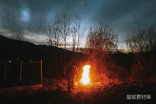 夜间篝火附近有裸树