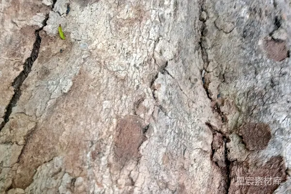 一幅特写镜头中的岩石