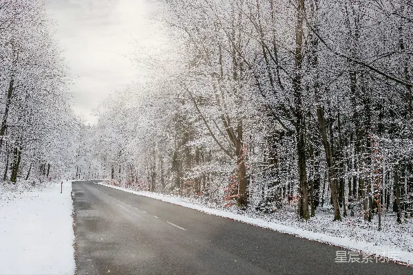 白天雪花覆盖的道路两旁是光秃秃的树木