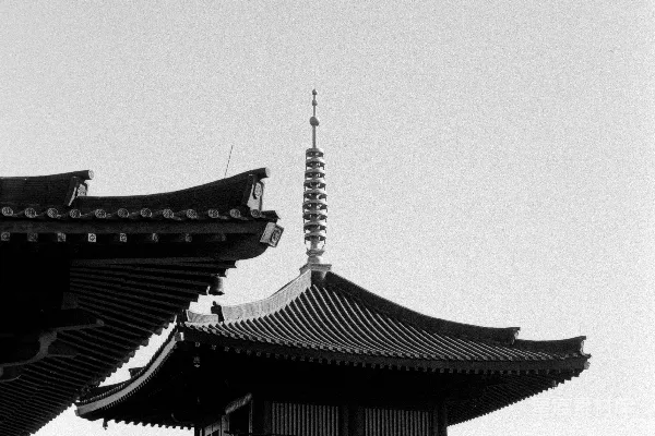 高清摄影 传统的日本寺庙建筑在晴朗的天空下。