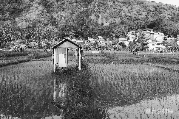高清摄影 在水淹的稻田中有一间小屋，后面有山丘。